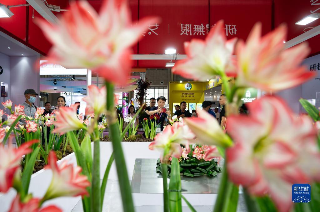 菠菜台子导航